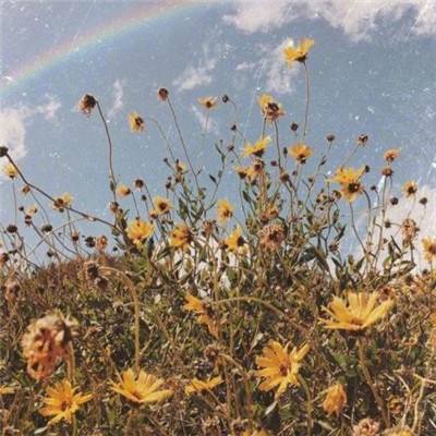 亚新下载手机版