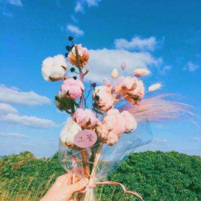 开云(中国)Kaiyun